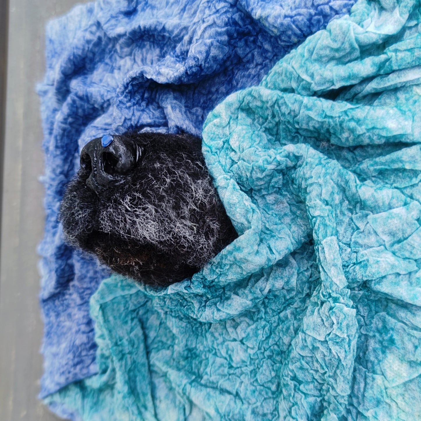 The art piece 'Don't be cold!' from the series 'Who's There?'"